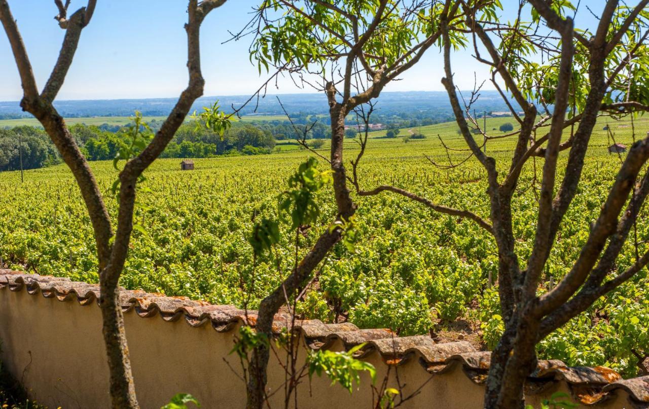 Domaine Des Marrans Acomodação com café da manhã Fleurie Exterior foto
